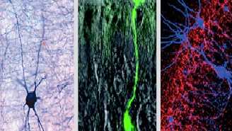 蚂蚁淘获得德国Leica徕卡LBS病理耗材江苏区代理授权