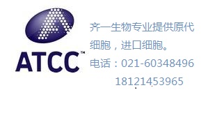 F9畸胎瘤细胞 