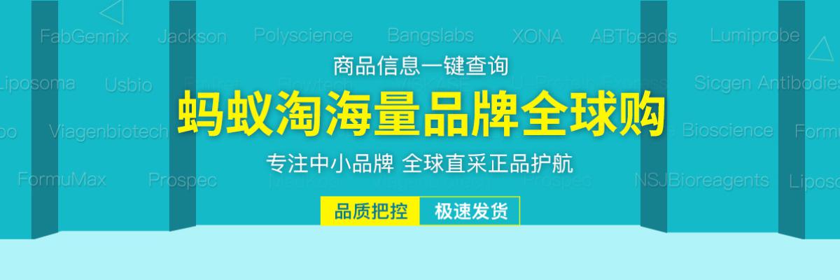 蚂蚁淘全球购