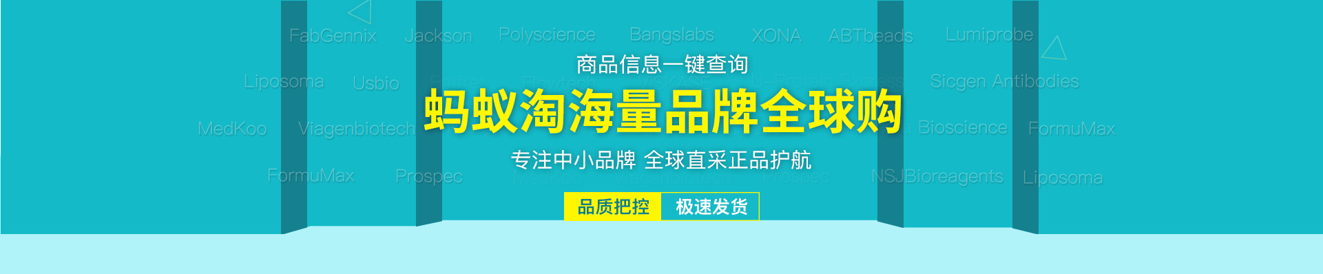 蚂蚁淘全球购