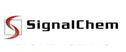 Signalchem inc