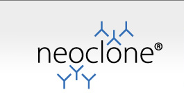 Neoclone INC