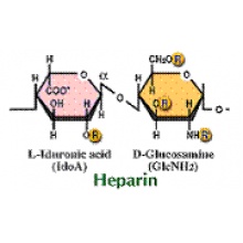 ibexpharma/Heparinase II - Lyophilized NEW//60-018