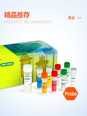 精品推荐banner