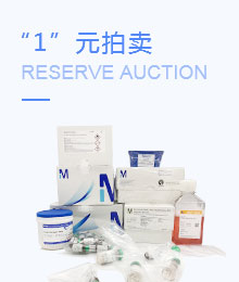 一元拍卖